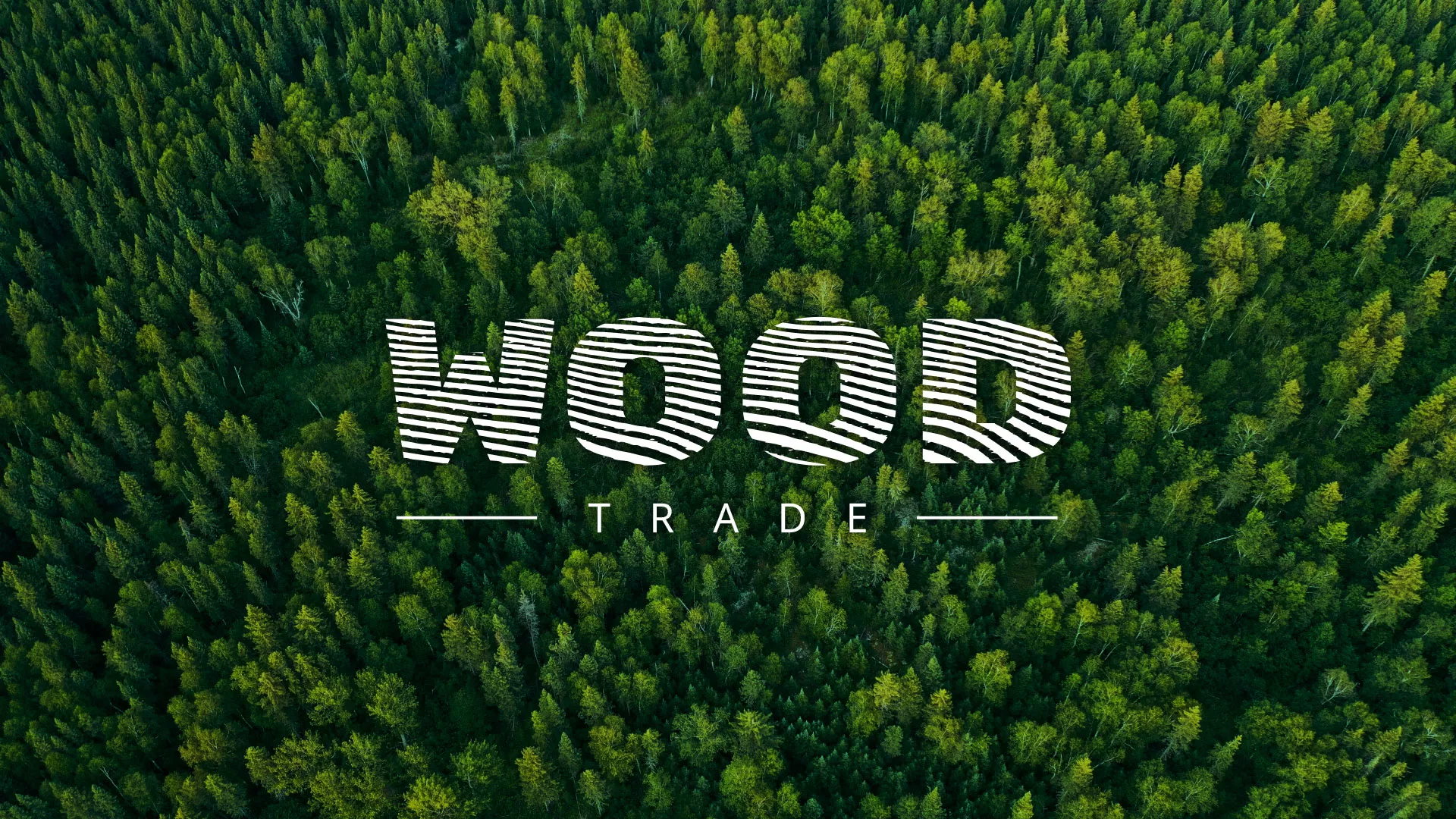 Разработка интернет-магазина компании «Wood Trade» в Усть-Илимске
